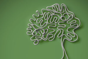 Hard-Wired and Re-Wired