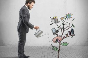 Creating a Garden of Talent