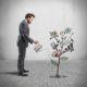 Creating a Garden of Talent